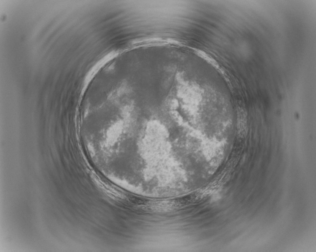 X0000071851474200607290120