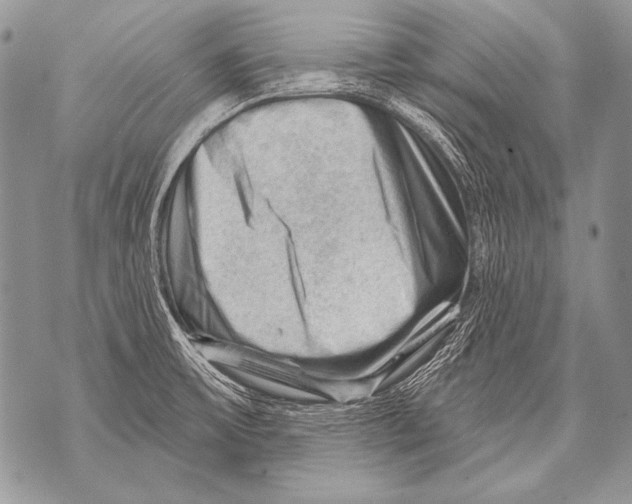 X0000071851475200607290120