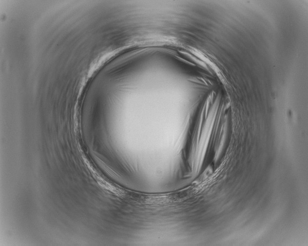 X0000071851477200607290120