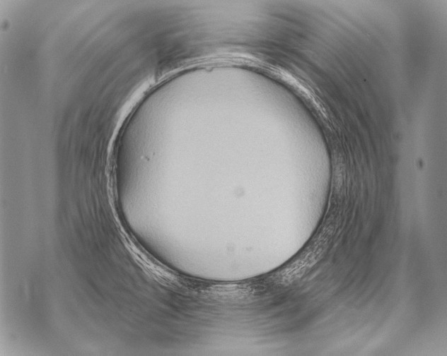 X0000071851478200607290120