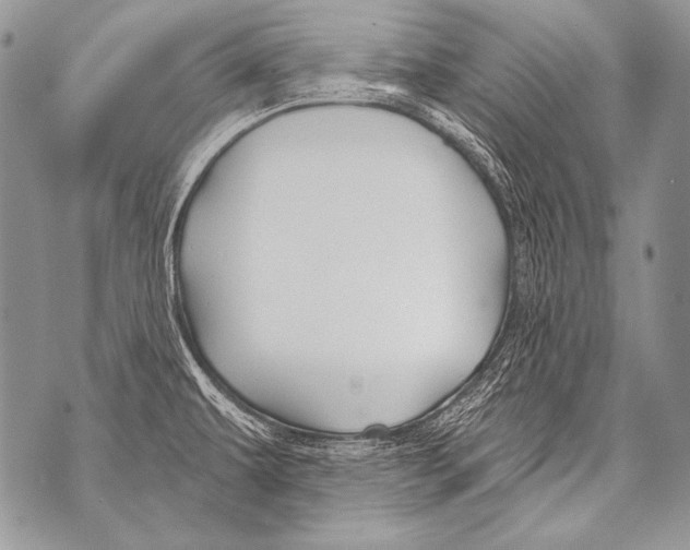 X0000071851479200607290120