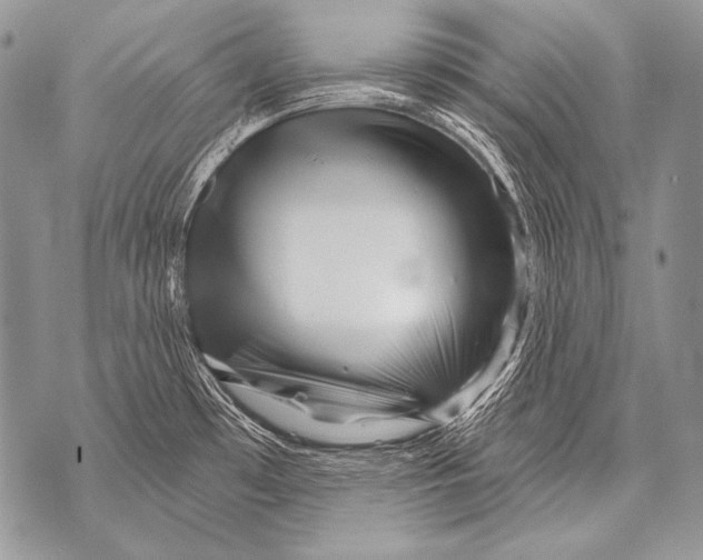 X0000071851481200607290120