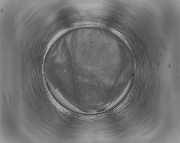 X0000071851482200607290120