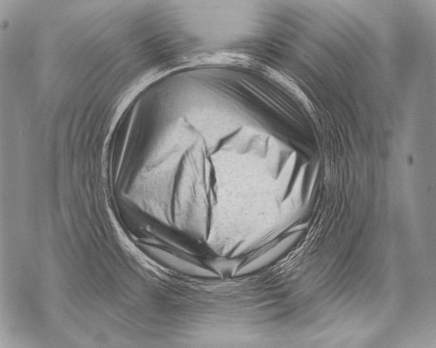 X0000071851483200607290120