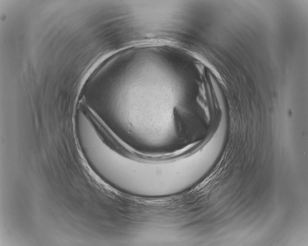 X0000071851484200607290120