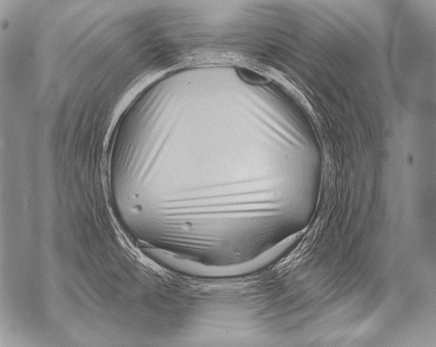 X0000071851486200607290120