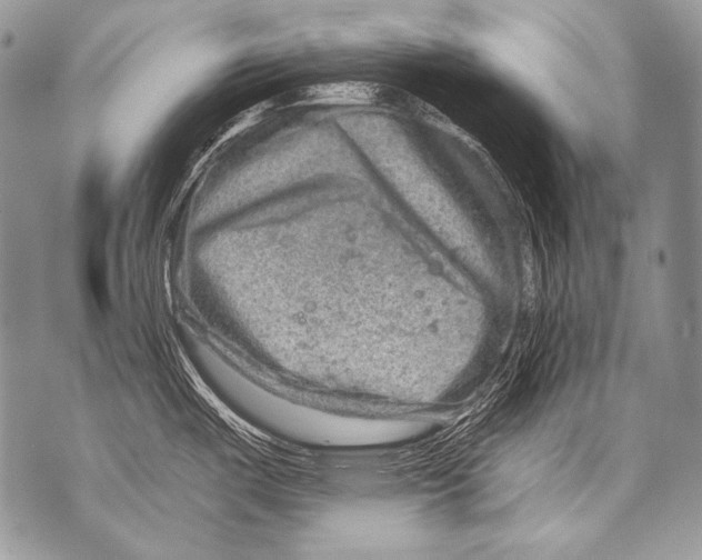 X0000071851487200607290120