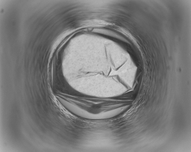 X0000071851488200607290120