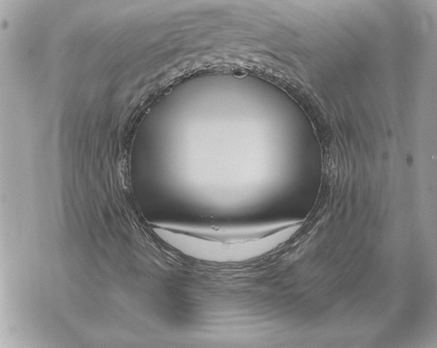 X0000071851490200607290119