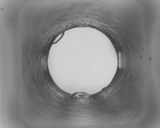 X0000071851491200607290119