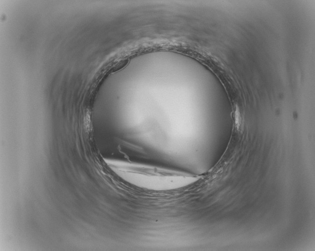 X0000071851492200607290119