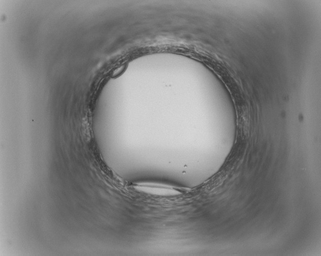 X0000071851493200607290119