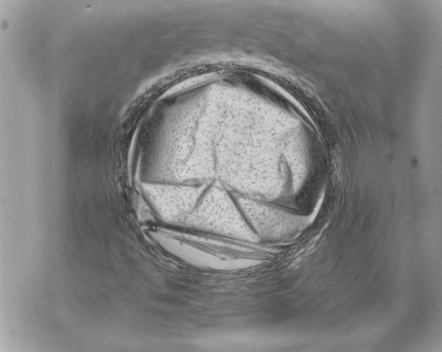 X0000071851494200607290119