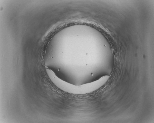 X0000071851495200607290119