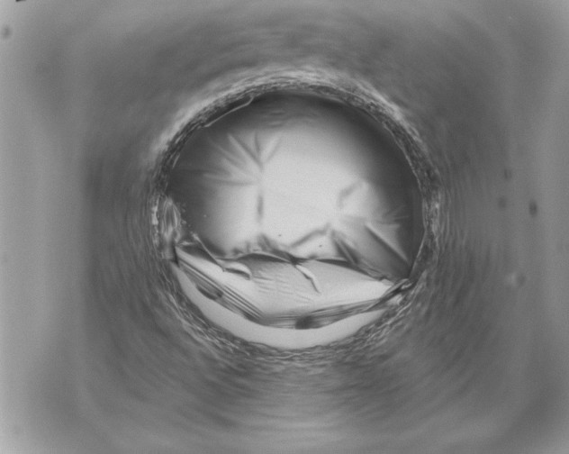 X0000071851496200607290119