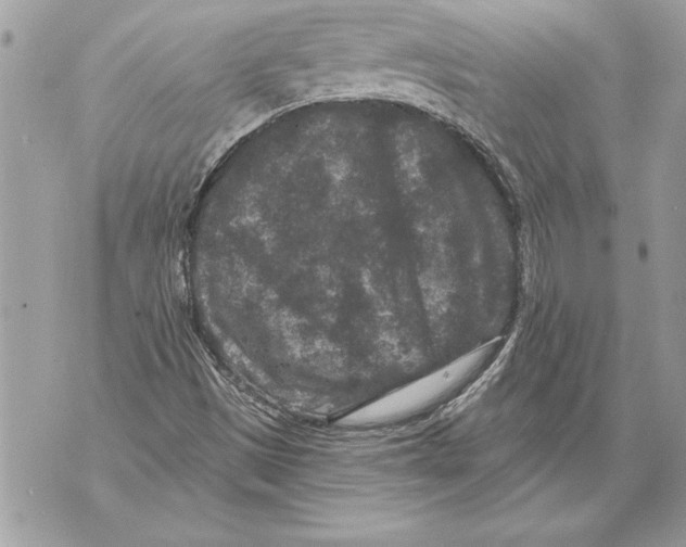 X0000071851497200607290119