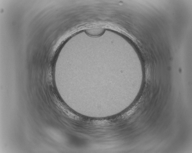 X0000071851498200607290119