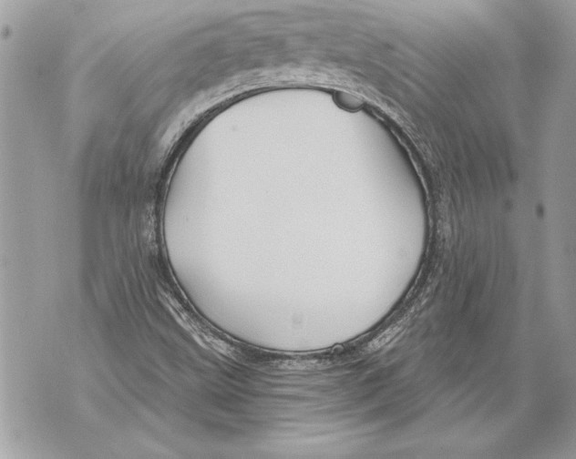 X0000071851499200607290119