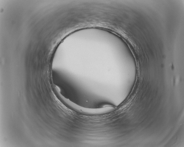 X0000071851500200607290119