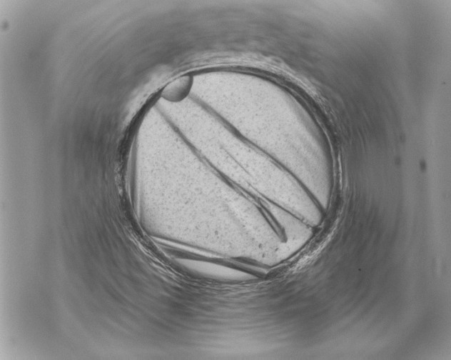 X0000071851501200607290119