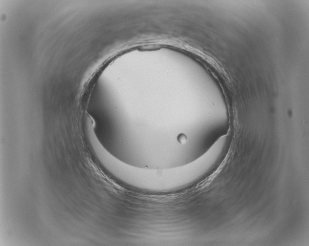 X0000071851502200607290119