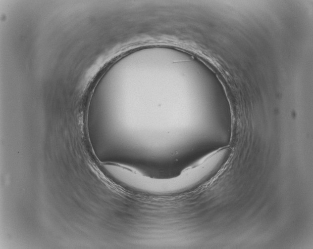 X0000071851503200607290119