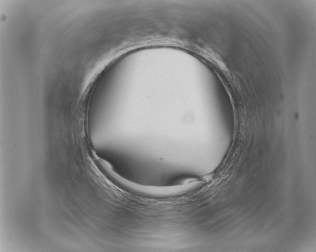 X0000071851504200607290119