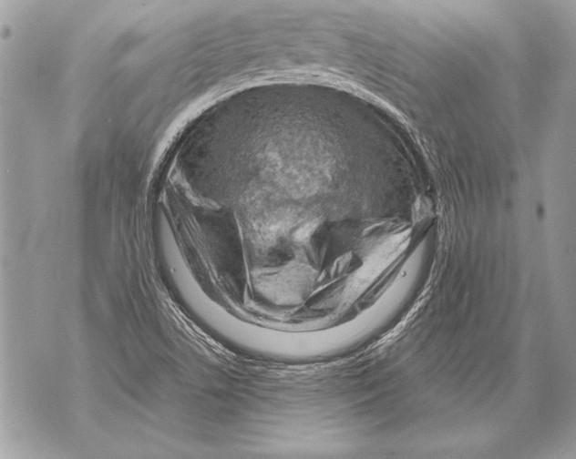 X0000071851506200607290119