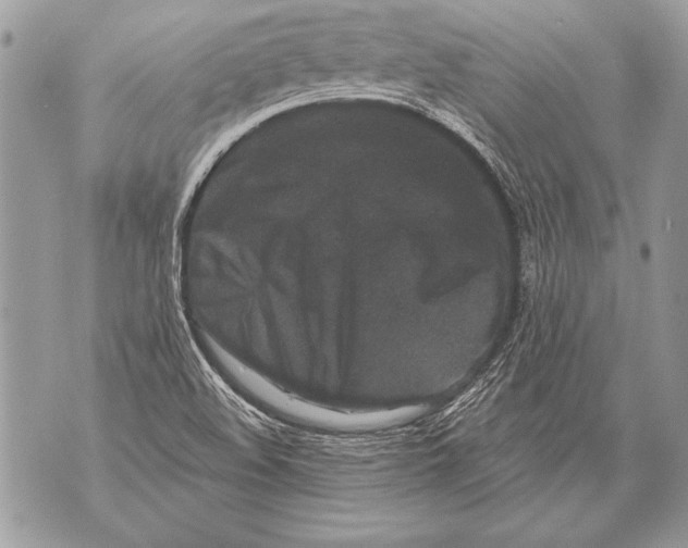 X0000071851508200607290119