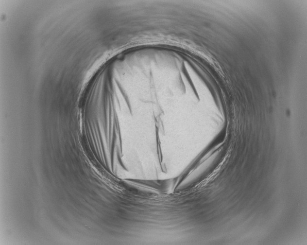 X0000071851509200607290119