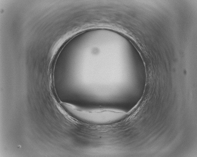 X0000071851511200607290119