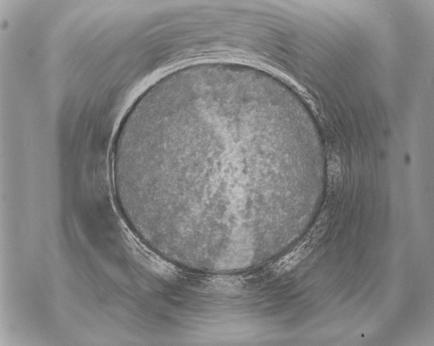 X0000071851514200607290119