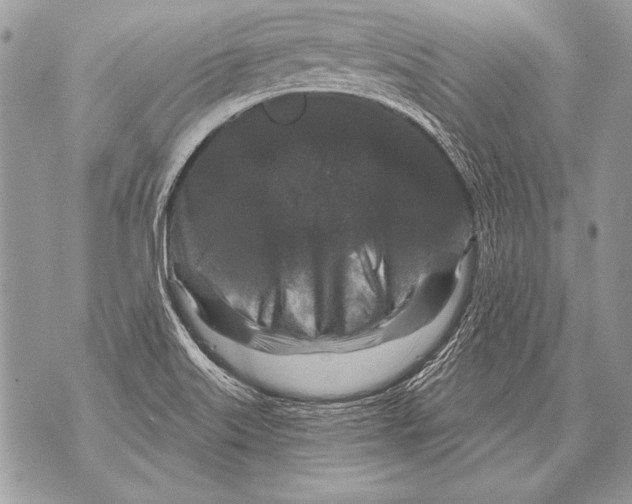 X0000071851515200607290119