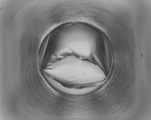 X0000071851517200607290120