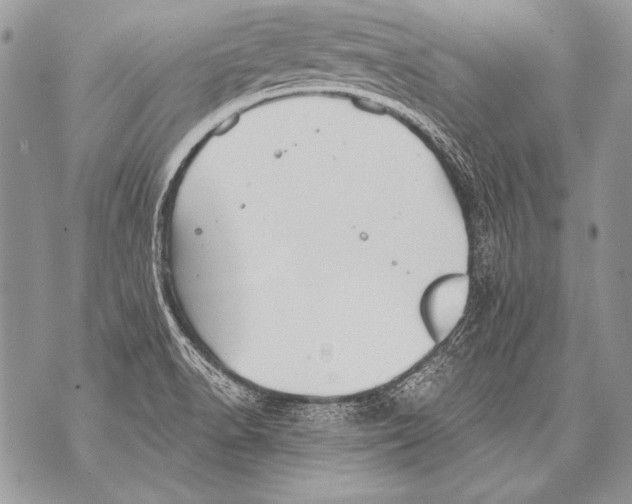 X0000071851518200607290120