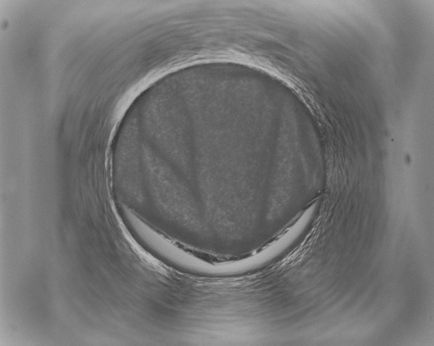 X0000071851519200607290120