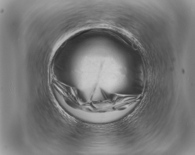 X0000071851520200607290120