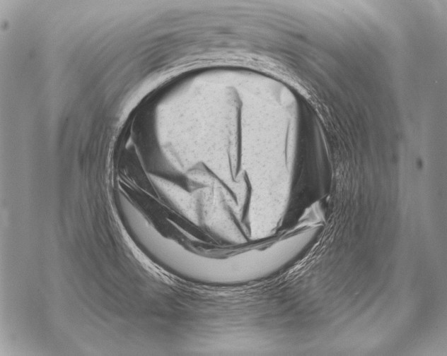 X0000071851523200607290120