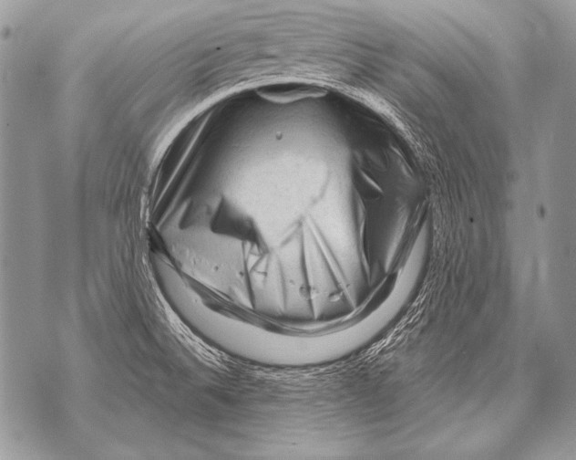 X0000071851524200607290120