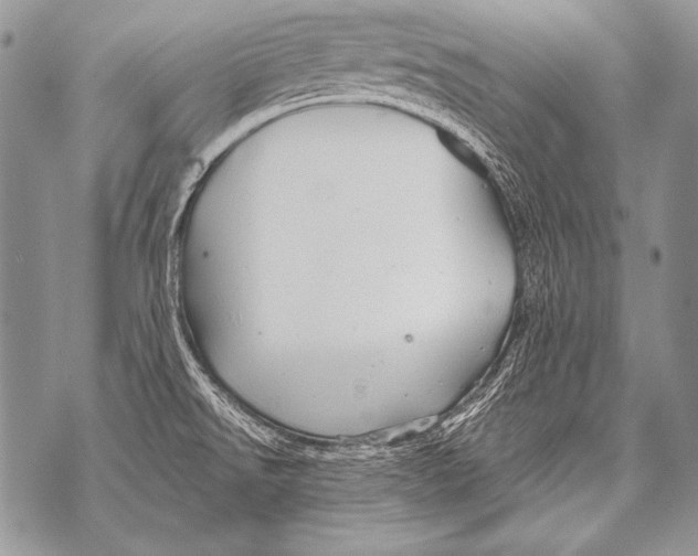 X0000071851526200607290120