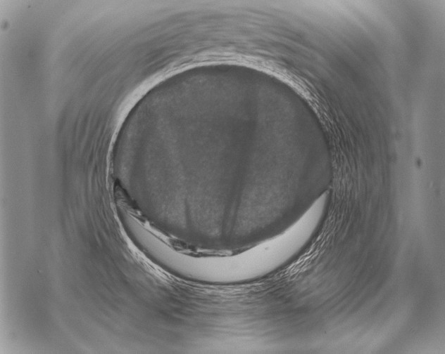 X0000071851527200607290120