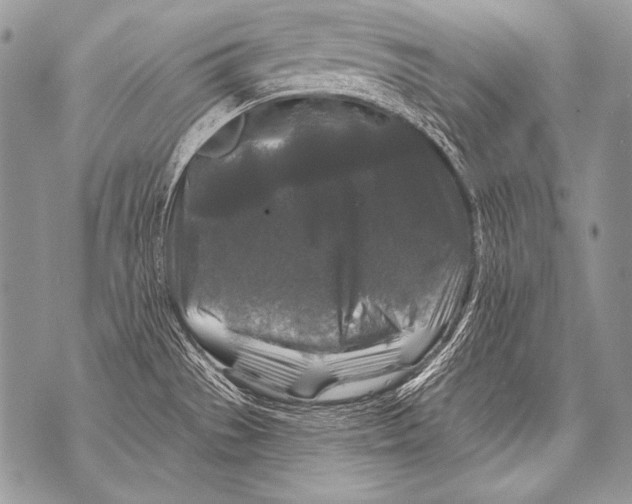 X0000071851529200607290120