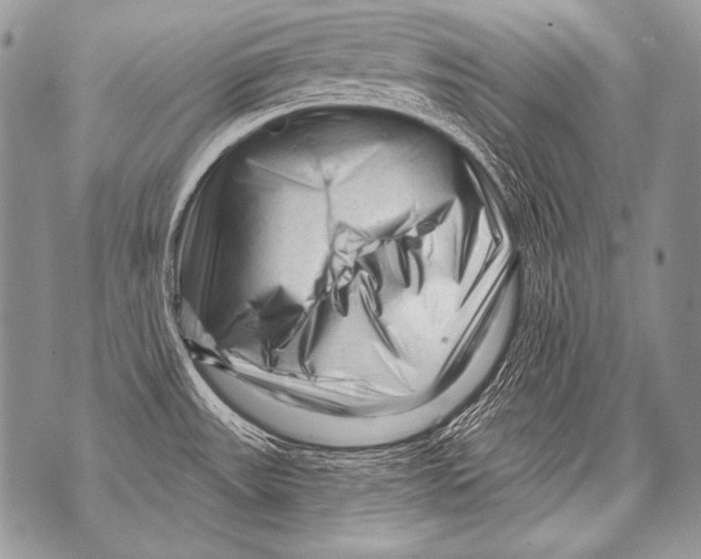 X0000071851531200607290120