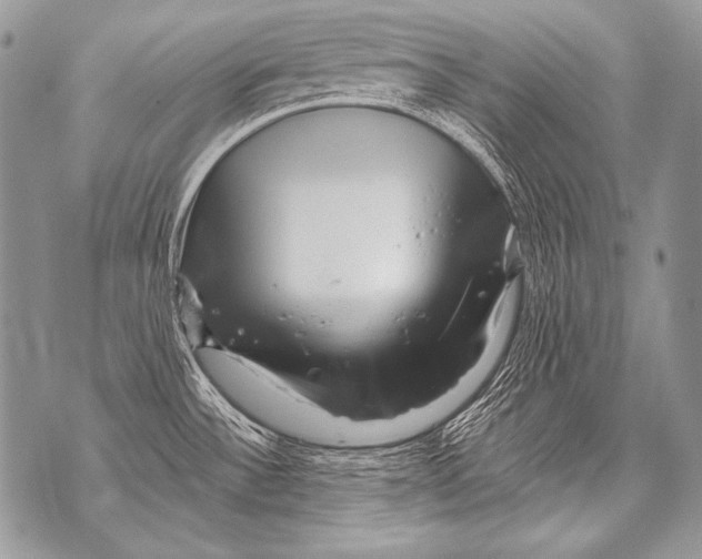 X0000071851532200607290120