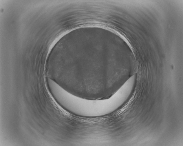 X0000071851533200607290120