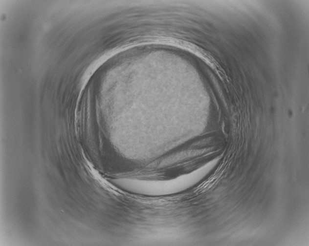 X0000071851535200607290120