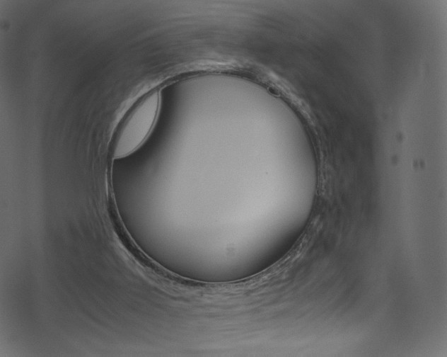 X0000071860011200606301113
