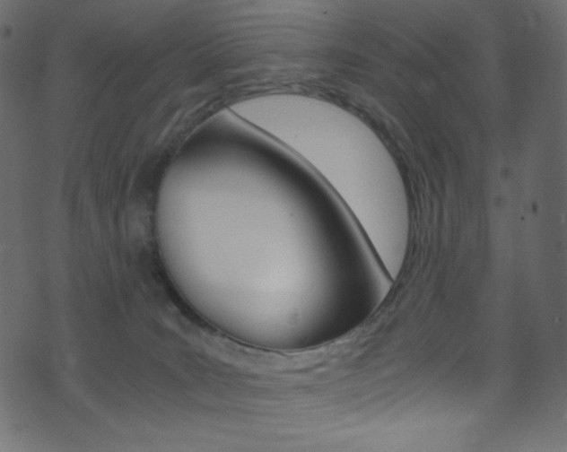 X0000071860035200606301113