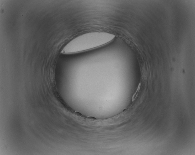 X0000071860043200606301113