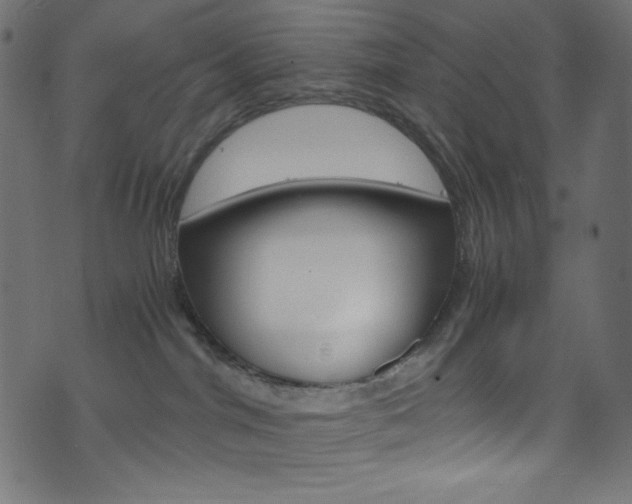 X0000071860044200606301113